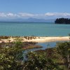 nz_sdinsel_2017_0016