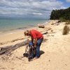 nz_sdinsel_2017_0017