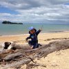 nz_sdinsel_2017_0018