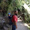 nz_sdinsel_2017_0022
