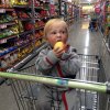 nz_sdinsel_2017_0030