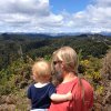 nz_sdinsel_2017_0031