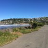 nz_sdinsel_2017_0050