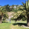 nz_sdinsel_2017_0052