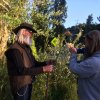 nz_sdinsel_2017_0053