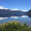 nz_sdinsel_2017_0072