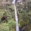 nz_sdinsel_2017_0078