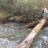 nz_sdinsel_2017_0079