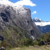 nz_sdinsel_2017_0093