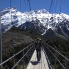 nz_sdinsel_2017_0103