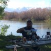 nz_sdinsel_2017_0108