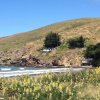 nz_sdinsel_2017_0121