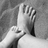 nz_sdinsel_2017_0122
