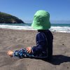 nz_sdinsel_2017_0123