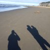 nz_sdinsel_2017_0127
