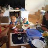 nz_sdinsel_2017_0135