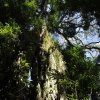 panama_067