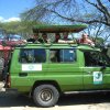serengeti_22