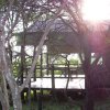 serengeti_23