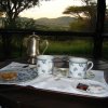 serengeti_27