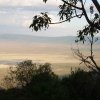 serengeti_48