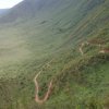 serengeti_52